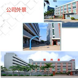 網絡科技研發 塑就未來，智造精工